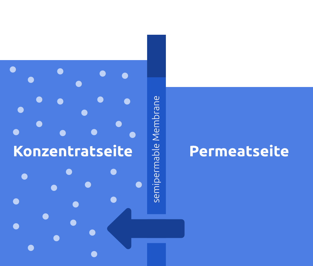 Prinzip Osmose